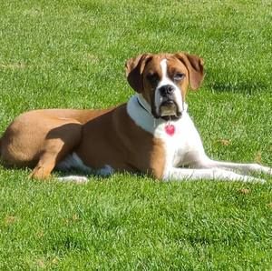 Meet your Posher, Jan